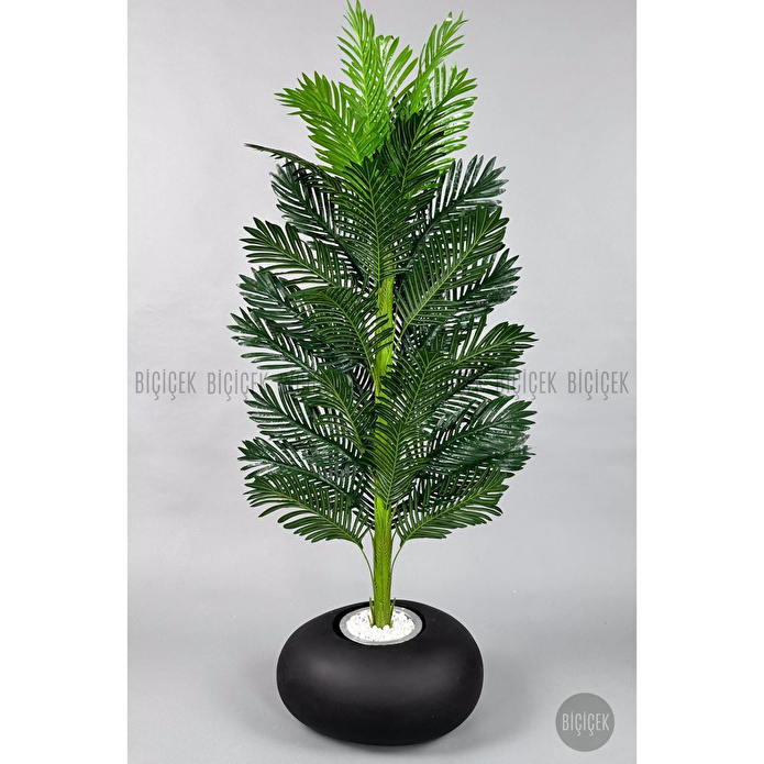 Biçiçek Yapay Areka Ağacı 160-180 Cm Siyahfi̇ber170cm