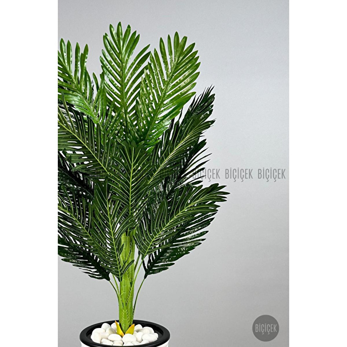 Biçiçek 150cm Areka Ağacı Kumsal Saksıda Siyah