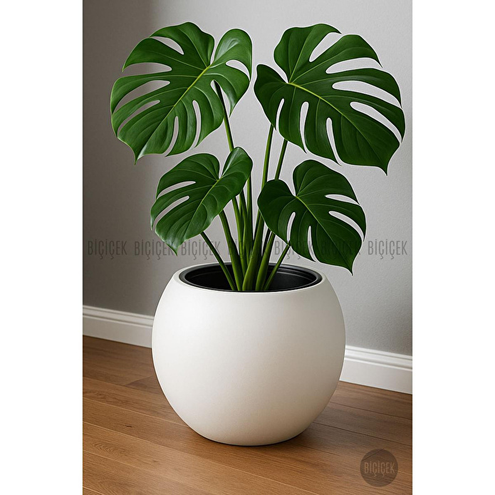 Biçiçek Plastik Küre Saksı 37 Cm Çap Beyaz