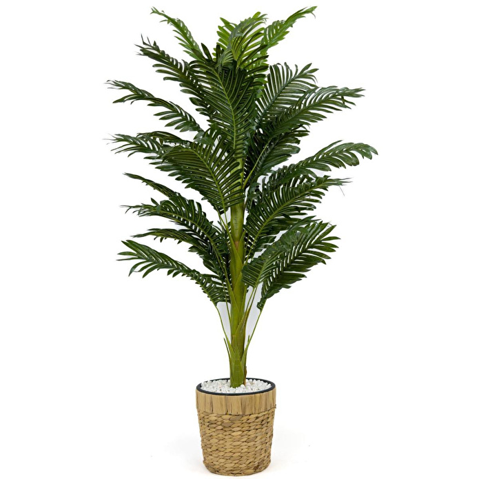 Biçiçek Areka Palmiyesi 140cm Hasır Saksıda Fejka