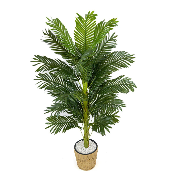 Biçiçek Areka Palmiyesi 140cm Hasır Saksıda Fejka