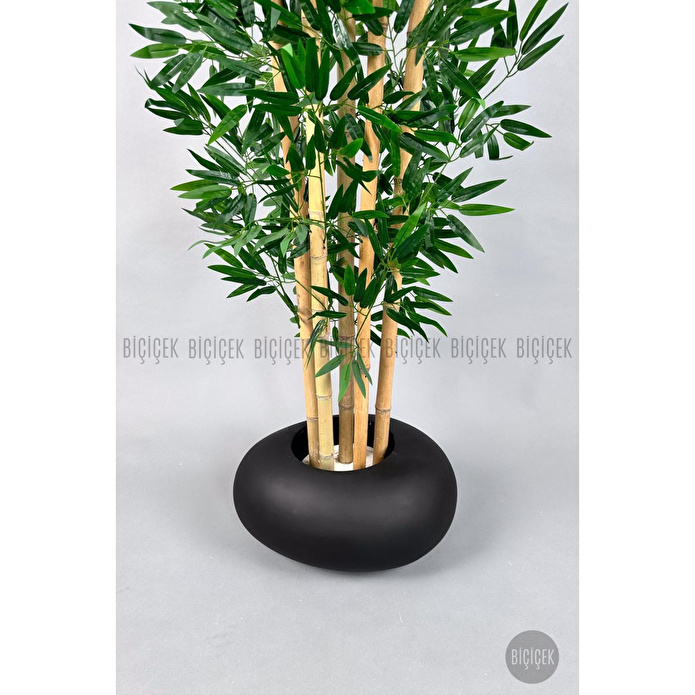 Biçiçek Zen Bambu Ağacı 220-240 Cm Fiber Saksıda Siyahfiber1