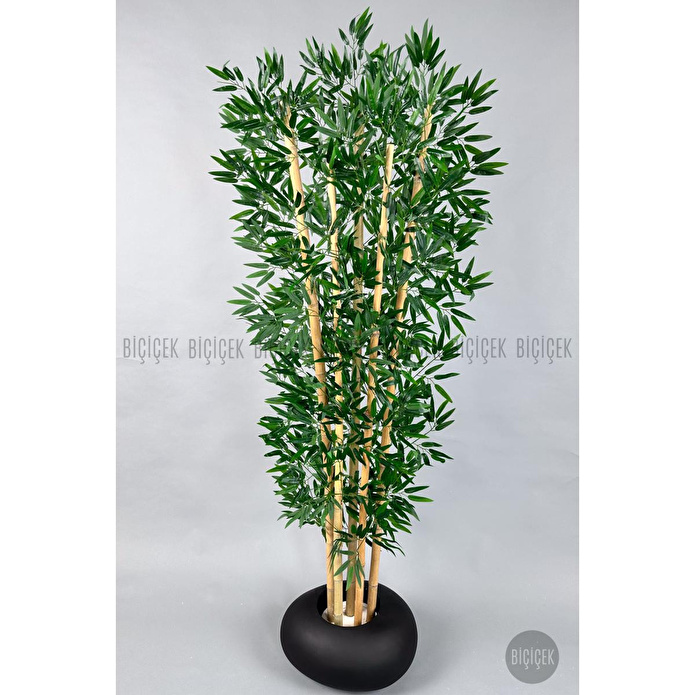 Biçiçek Zen Bambu Ağacı 220-240 Cm Fiber Saksıda Siyahfiber1
