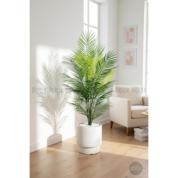 Biçiçek Areka Ağaci 24 Yaprakli 120-130 Cm Çok Renkli