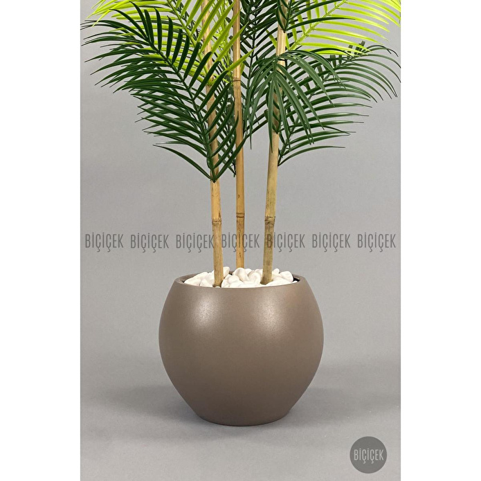 Biçiçek 120cm Areka Ağacı 24 Yapraklı Küre Saksıda 3