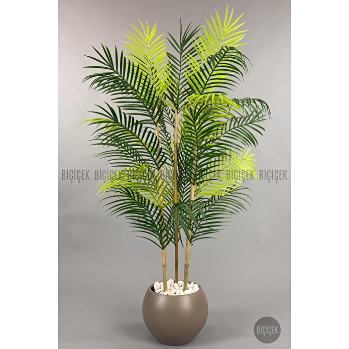 Biçiçek 120cm Areka Ağacı 24 Yapraklı Küre Saksıda 3