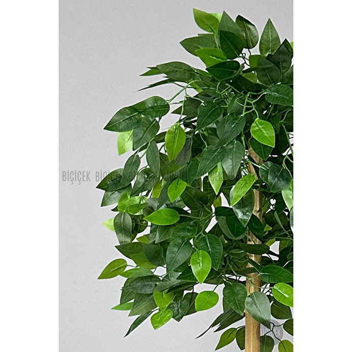 Biçiçek Yapay Benjamin Ağacı Bambu Gövdeli 125cm