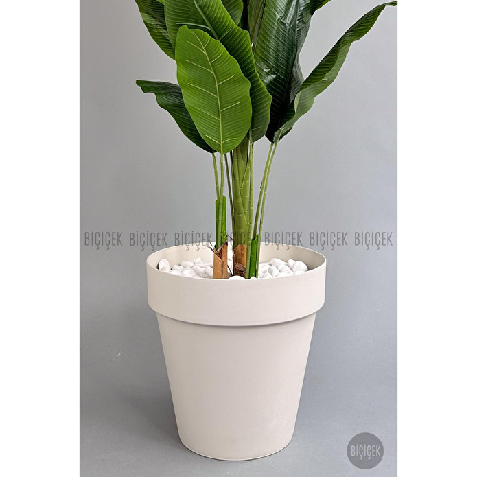 Biçiçek Yapay Ağaç Starliçe Bambu Gövdeli 220cm Büyük Boy Kırıkbeyaz Renk Yalı Saksıda