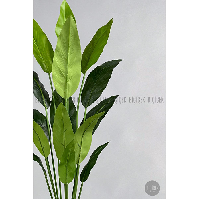 Biçiçek Yapay Starliçe Ağacı 140-170 Cm Siyah3