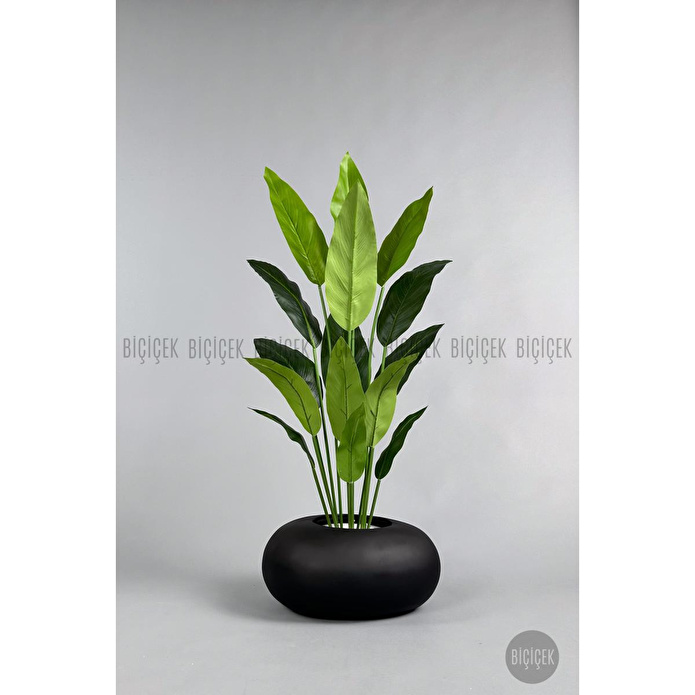 Biçiçek Yapay Starliçe Ağacı 140-170 Cm Siyah3