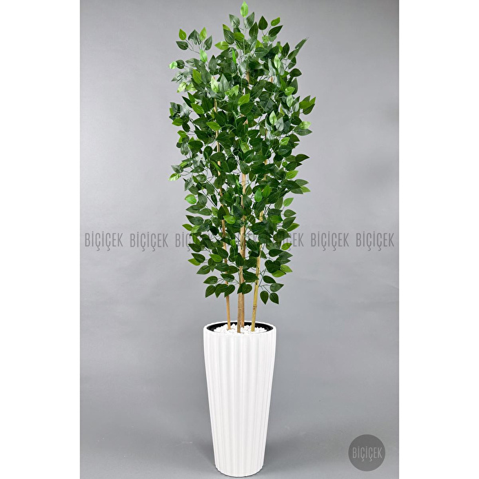 Biçiçek Yapay Bambu Ve Benjamin 4 Dal Yoğun Yapraklı 180 Cm Beyazbenjamin