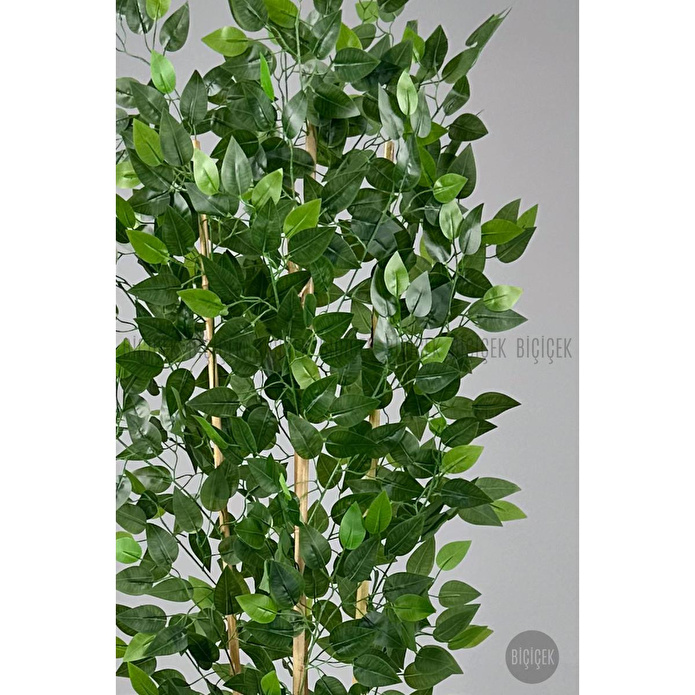 Biçiçek Yapay Bambu Ve Benjamin 4 Dal Yoğun Yapraklı 180 Cm Beyazbenjamin