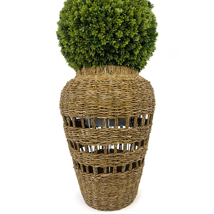 Biçiçek Luxury Şimşir Ağacı 100cm Hasır Saksıda Bohem3