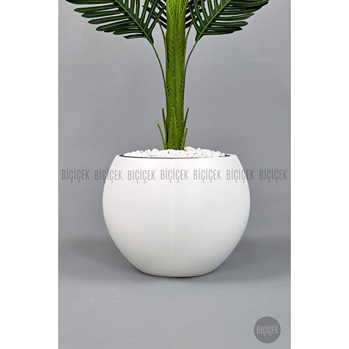 Biçiçek Yapay Areka Ağacı 160-180 Cm Beyazküre170cm