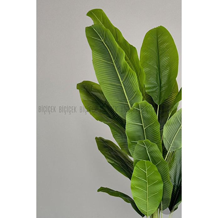 Biçiçek Yapay Muz Ağacı 200 Cm Lux Dış Mekan Saksıda 2