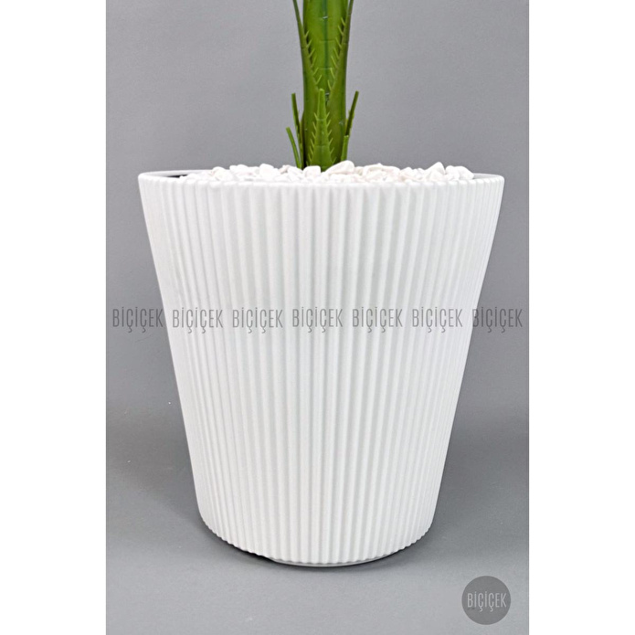 Biçiçek Yapay Areka Ağacı 160-180 Cm Beyazluna180cm