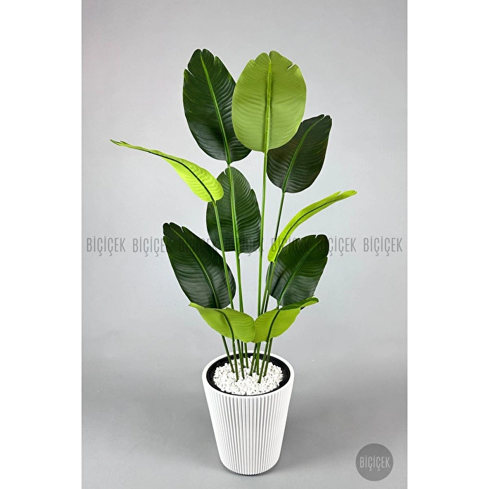 Biçiçek Yapay Muz Ağacı 145-185 Cm Beyaz3