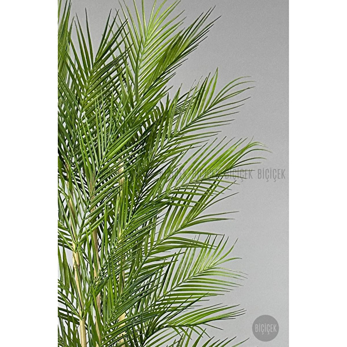 Biçiçek Yapay Areka Ağacı Palmiye Ağacı 33 Yapraklı Bambu Gövdeli Mocca Kumsal Saksı Salon Çiçeği 150cm