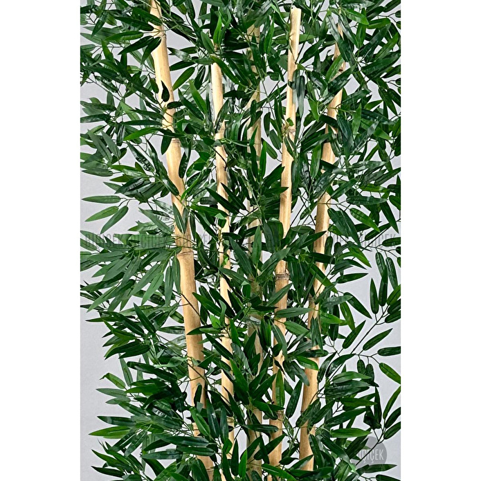 Biçiçek Zen Bambu Ağacı 220-240 Cm Fiber Saksıda Siyahfiber2