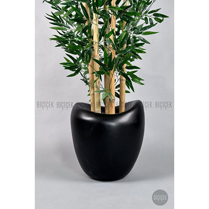 Biçiçek Zen Bambu Ağacı 220-240 Cm Fiber Saksıda Siyahfiber2
