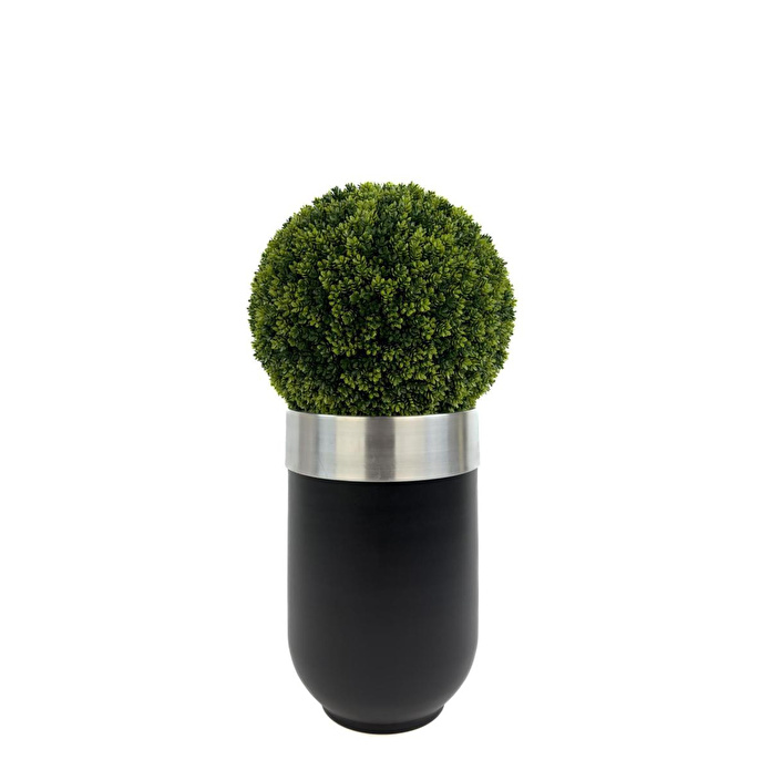 Biçiçek Şimşir Ağacı 90cm Siyah Gümüş Darbuka Saksıda