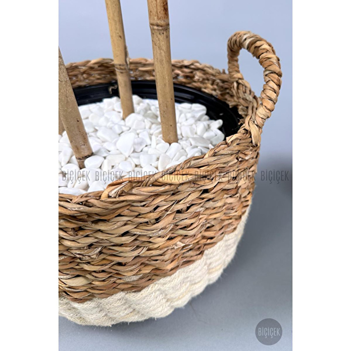 Biçiçek Yapay Benjamin Ağacı 170cm Siyah Şeritli Hasır Saksıda