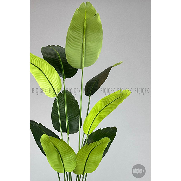 Biçiçek Yapay Muz Ağacı 145-185 Cm Beyaz2