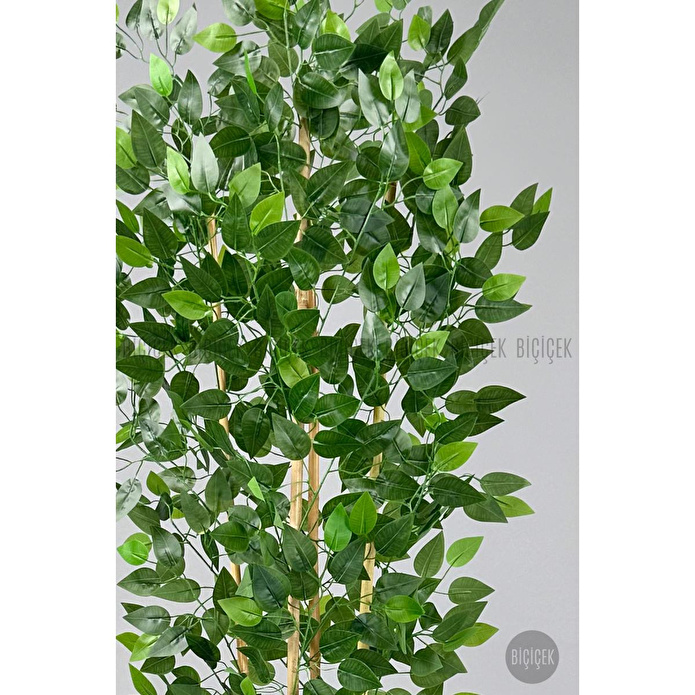 Biçiçek Yapay Benjamin Ağacı 180 Cm Yoğun Yapraklı Bambu Gövdeli Bej Renk Kumsal Saksıda