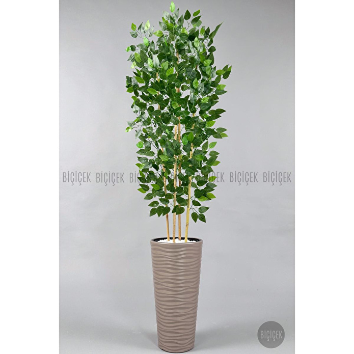 Biçiçek Yapay Benjamin Ağacı 180 Cm Yoğun Yapraklı Bambu Gövdeli Bej Renk Kumsal Saksıda