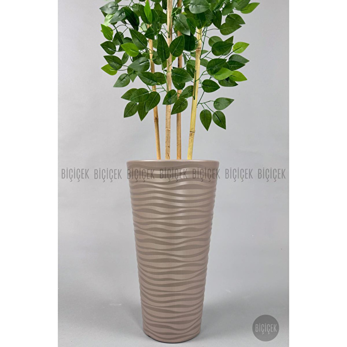 Biçiçek Yapay Benjamin Ağacı 180 Cm Yoğun Yapraklı Bambu Gövdeli Bej Renk Kumsal Saksıda