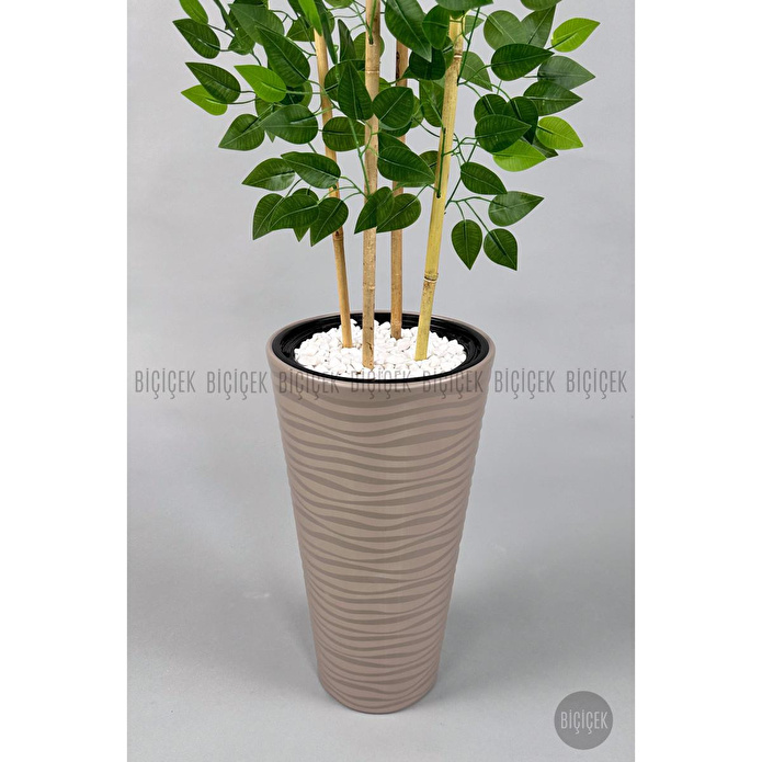 Biçiçek Yapay Benjamin Ağacı 180 Cm Yoğun Yapraklı Bambu Gövdeli Bej Renk Kumsal Saksıda