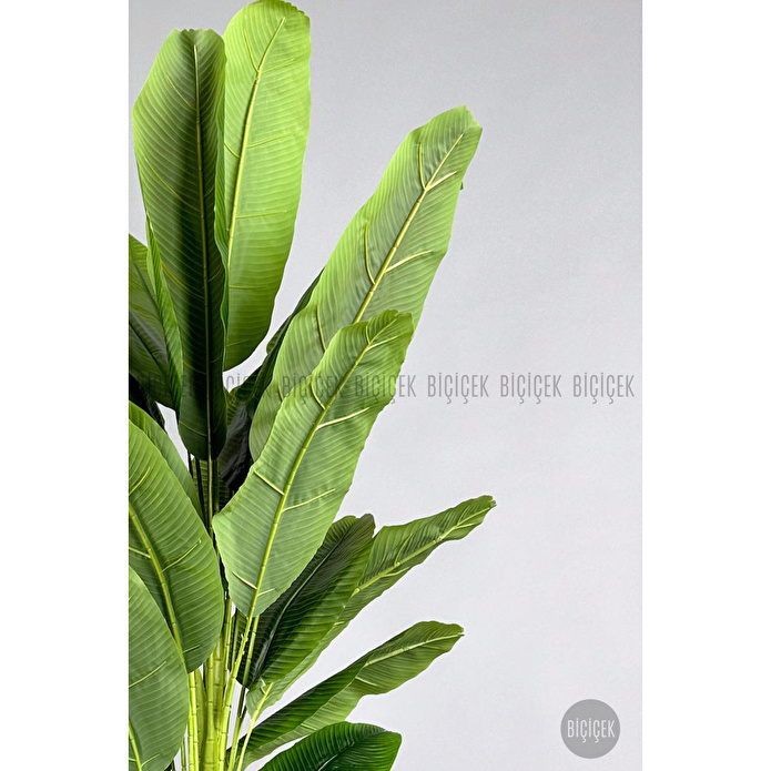Biçiçek Yapay Muz Ağacı 185-220 Cm Siyah1
