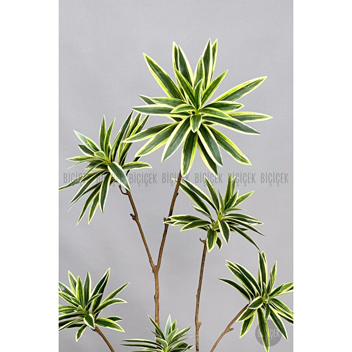 Biçiçek 160 Cm Dragon Bitkisi Yapay Dracaena Küre Saksıda Beyaz1