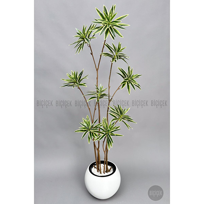 Biçiçek 160 Cm Dragon Bitkisi Yapay Dracaena Küre Saksıda Beyaz1