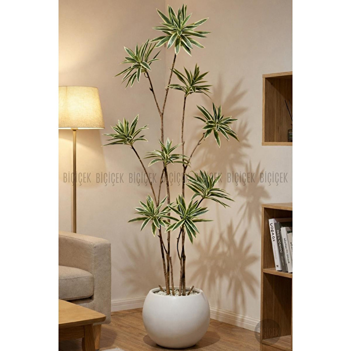 Biçiçek 160 Cm Dragon Bitkisi Yapay Dracaena Küre Saksıda Beyaz1