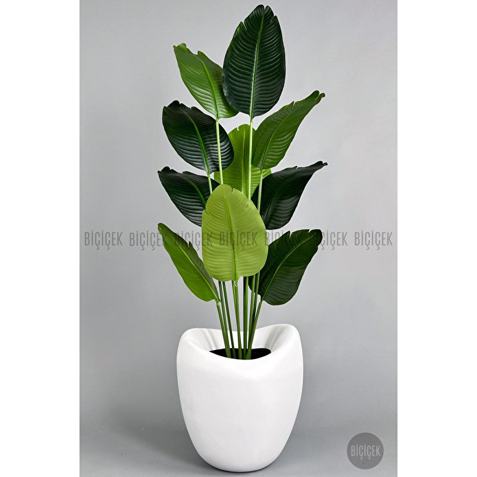 Biçiçek Yapay Muz Ağacı 145-185 Cm Beyaz
