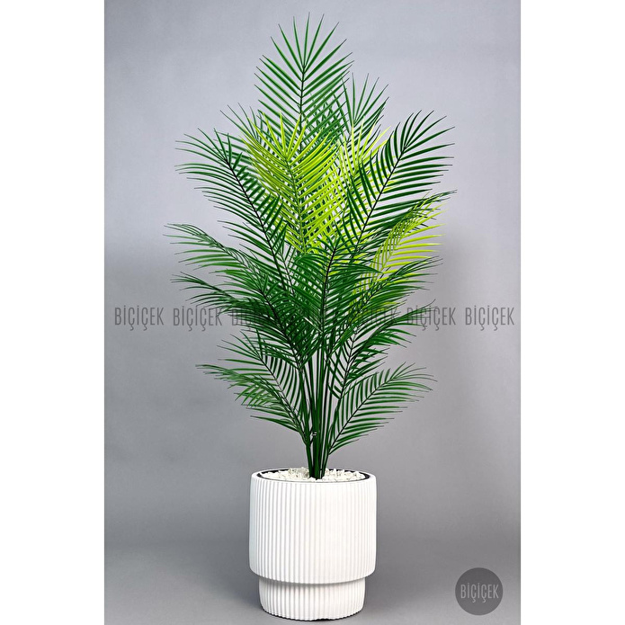 Biçiçek Areka Ağaci 24 Yaprakli 120-130 Cm Beyaz