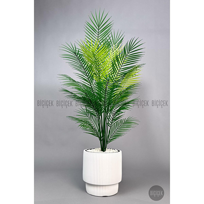 Biçiçek Areka Ağaci 24 Yaprakli 120-130 Cm Beyaz