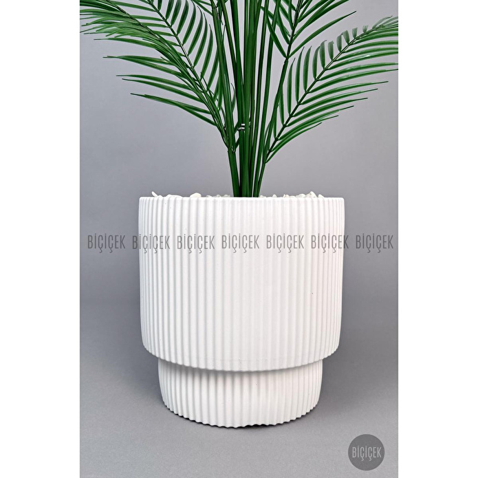 Biçiçek Areka Ağaci 24 Yaprakli 120-130 Cm Beyaz