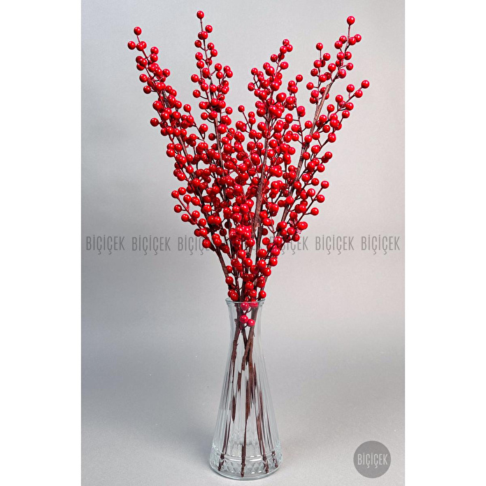 Biçiçek Koki̇na 80 Cm 108 Meyveli̇ Yilbaşi Bi̇tki̇si̇ Tek Dal