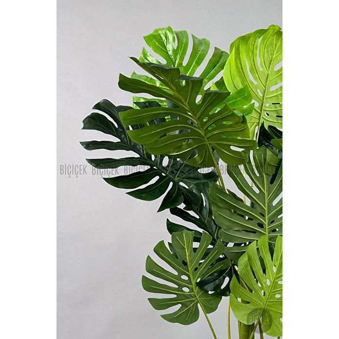 Biçiçek Yapay Ağaç Monstera Bambu Gövdeli 150cm Devetabanı Ağacı Büyük Boy Kırıkbeyaz Renk Yalı Saksıda