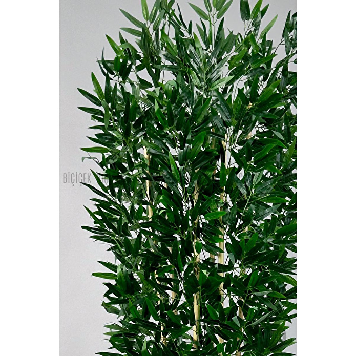Biçiçek Yapay Bambu Ve Benjamin 6 Dallı Yoğun Yapraklı 220 Cm Siyahbambu