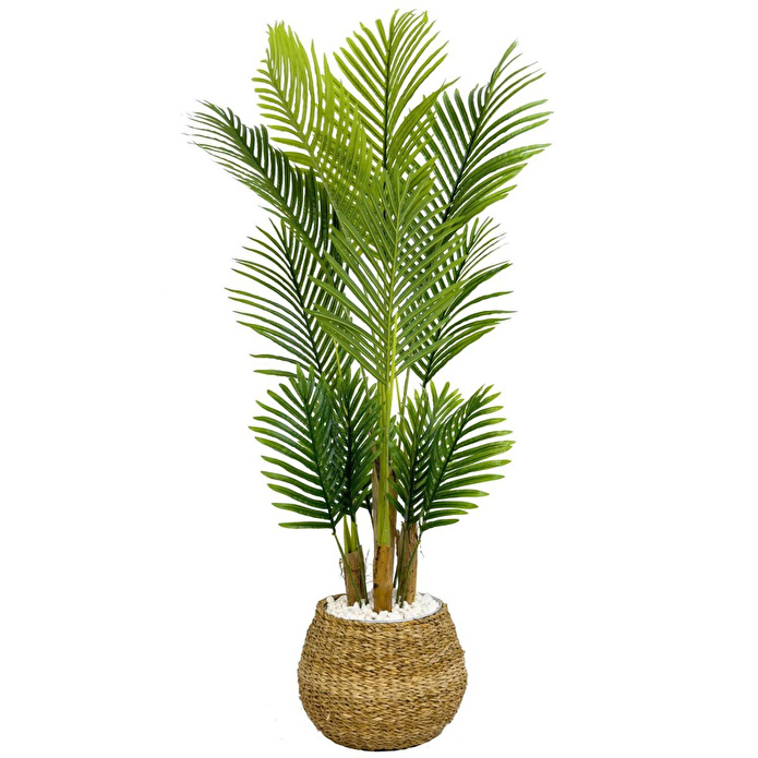 Biçiçek Areka Palmiyesi 130cm Geoit Hasır Saksıda