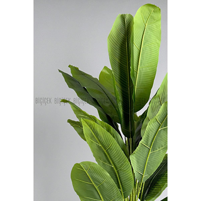 Biçiçek Yapay Muz Ağacı 185-220 Cm Beyaz1