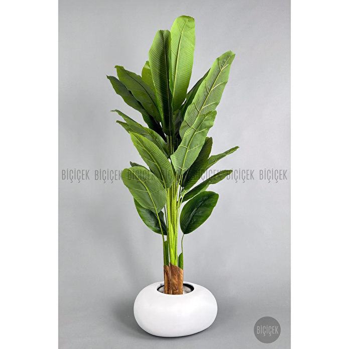 Biçiçek Yapay Muz Ağacı 185-220 Cm Beyaz1