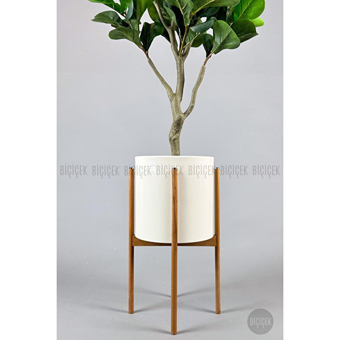 Biçiçek Keman Yapraklı Kauçuk Bitkisi Fiddle Lyrata Metal Saksı Beyaz- 175cm