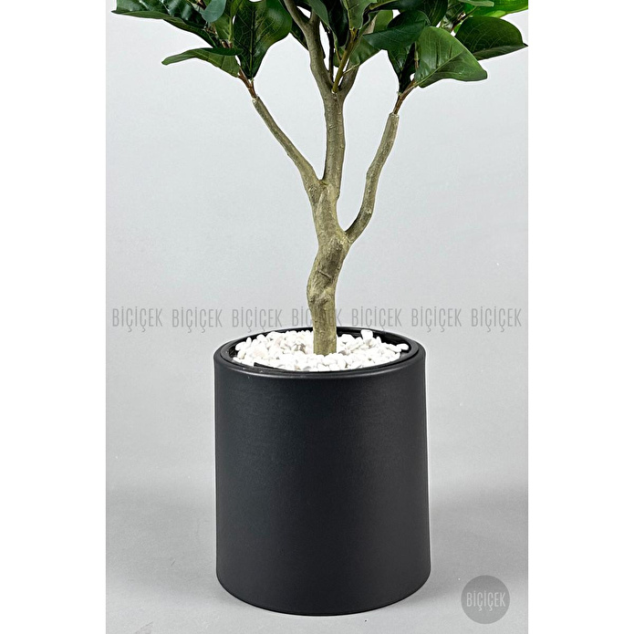 Biçiçek Keman Yapraklı Kauçuk Bitkisi Fiddle Lyrata Metal Saksı Siyah-150cm