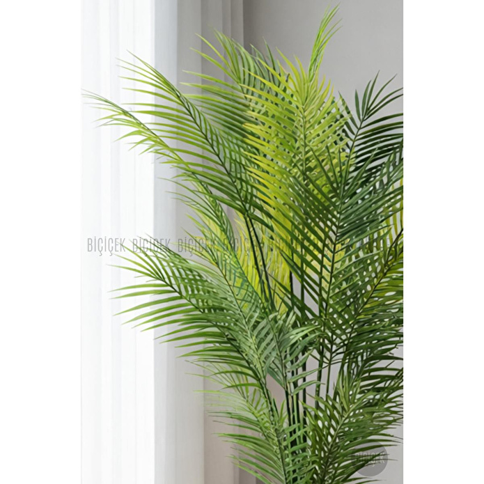 Biçiçek Areka Ağaci 24 Yaprakli 130 Cm Küre Saksida Beyaz