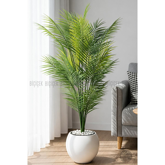 Biçiçek Areka Ağaci 24 Yaprakli 130 Cm Küre Saksida Beyaz