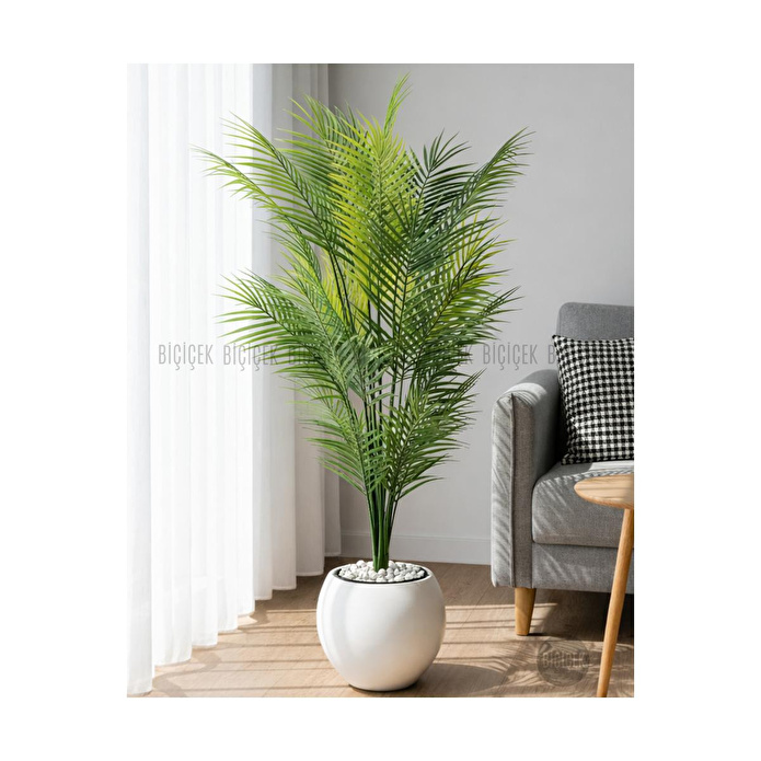 Biçiçek Areka Ağaci 24 Yaprakli 130 Cm Küre Saksida Beyaz